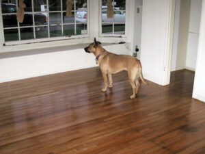 Hardwood FLOORING